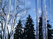 どんな腫瘍の成長もストップ