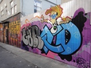 局所進行性の食道胃接合部腺癌では術前化学療法早期のPETによる治療反応性診断が有用