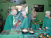 移植後の免疫抑制剤が不要？