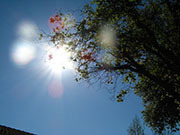 万能ウイルス薬ついに登場？