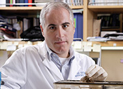 DHAがアルツハイマーを抑制