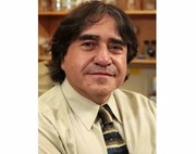 果糖で頭が悪くなる？