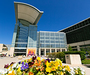 抗PD-1抗体が治療歴のあるメラノーマ，非小細胞肺がん，腎細胞がんで腫瘍縮小効果を示す