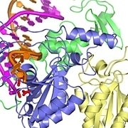 エイズ研究で画期的な発見