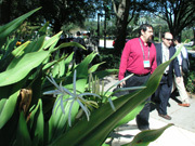 カテーテル・デリバリーによる梗塞心筋への自家骨格筋芽細胞移植の1年後成績は有望