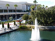 痛風治療薬コルヒチンが心臓手術後の心房細動を著明に抑制