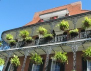 看護師介入による包括的治療管理で心房細動患者の長期予後が大きく改善